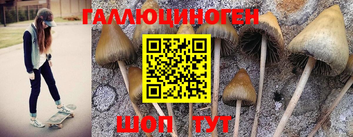 Галлюциногенные грибы MAGIC MUSHROOMS  Галлюциногенные грибы GOLDEN TEACHER  Вход с VPN  Михайловка 